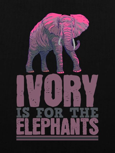 Elefant Leben Elfenbein