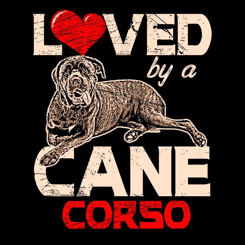 Cane Corso Hund Hundliebe