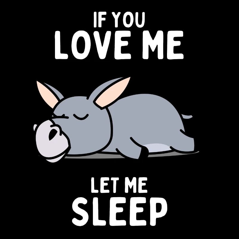 Sleeping Donkey Funny Gift
