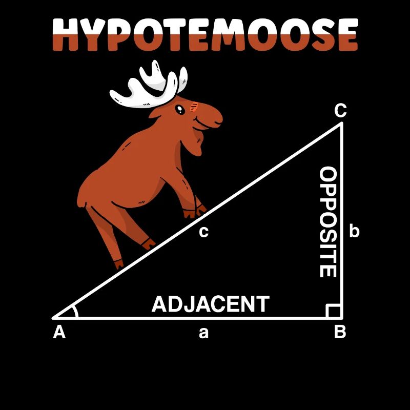 Hypotemoose Professeur de mathématiques Mathématicien Math