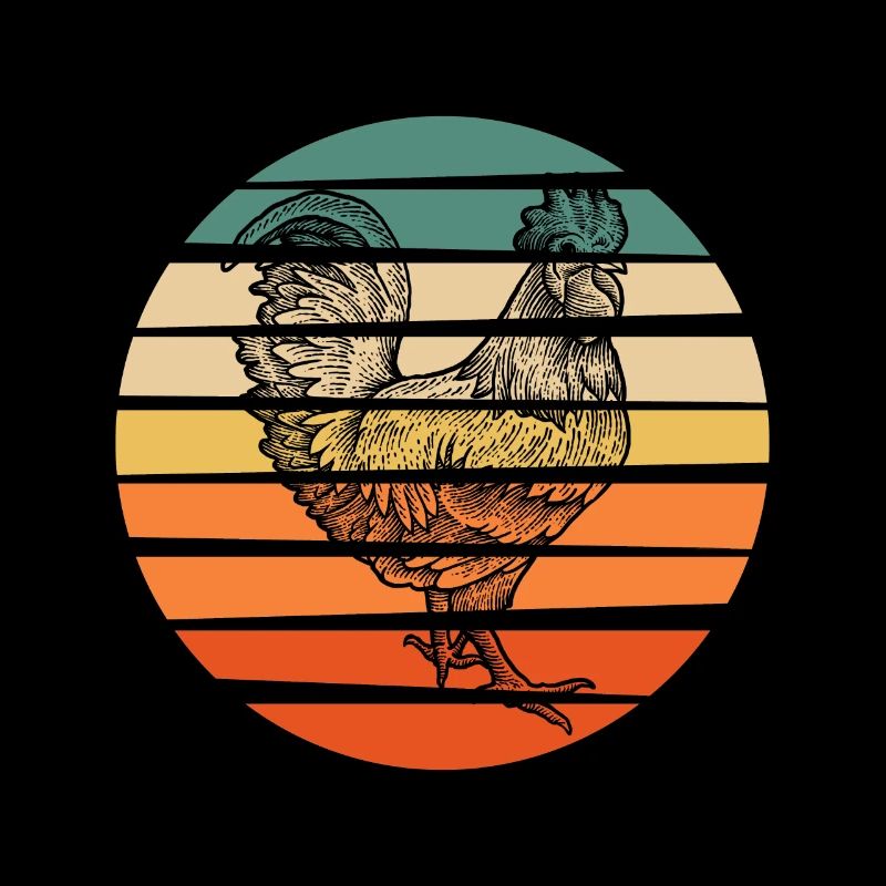 Rooster chicken hen