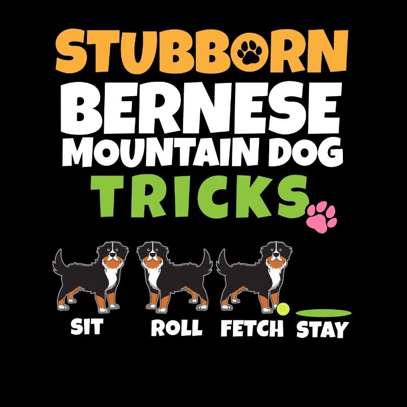 Stubborn Bernese Mountain Dog Tricks I Bernese