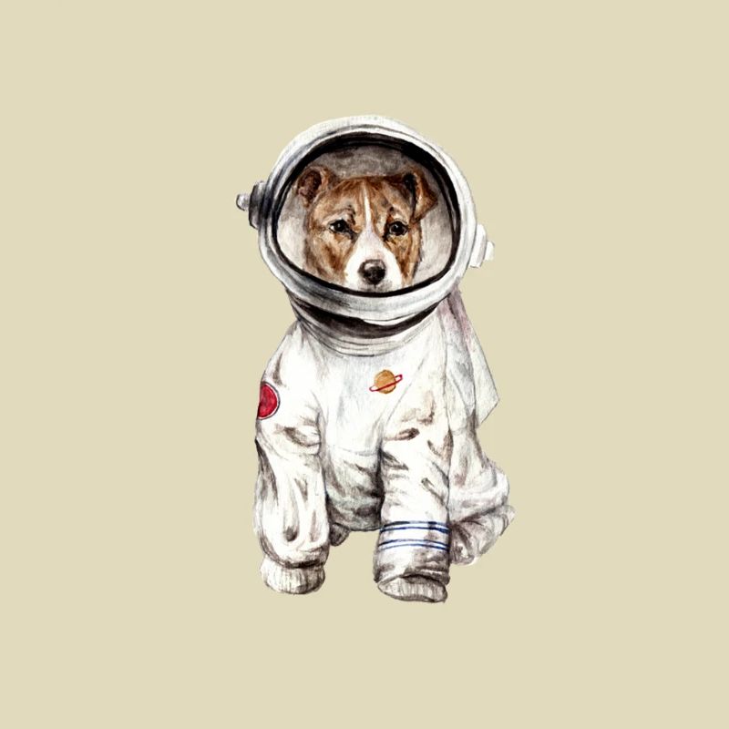 Chien en combinaison spatiale Spatiale Spatiale