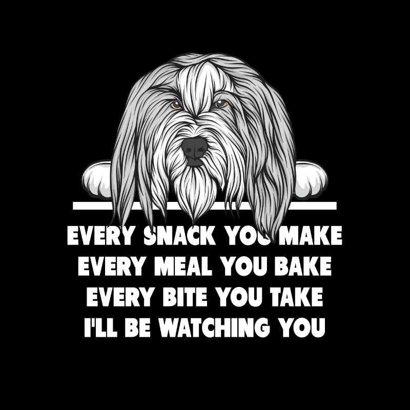 Bearded Collie