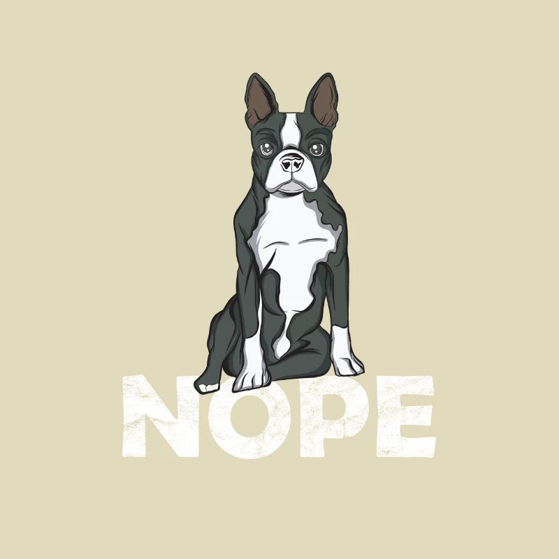 Boston Terrier