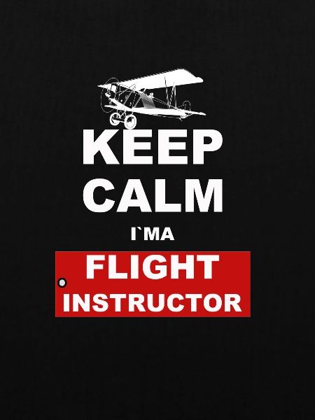Piloten Fluglehrer Luftfahrt Flugzeug