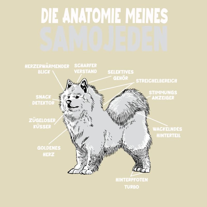 Samojede Anatomie Witziges Hundehalter Gassi