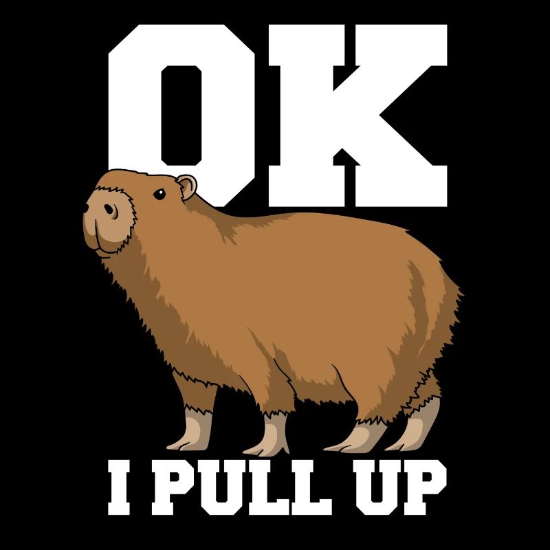 Ok, I pull up Capybara gift