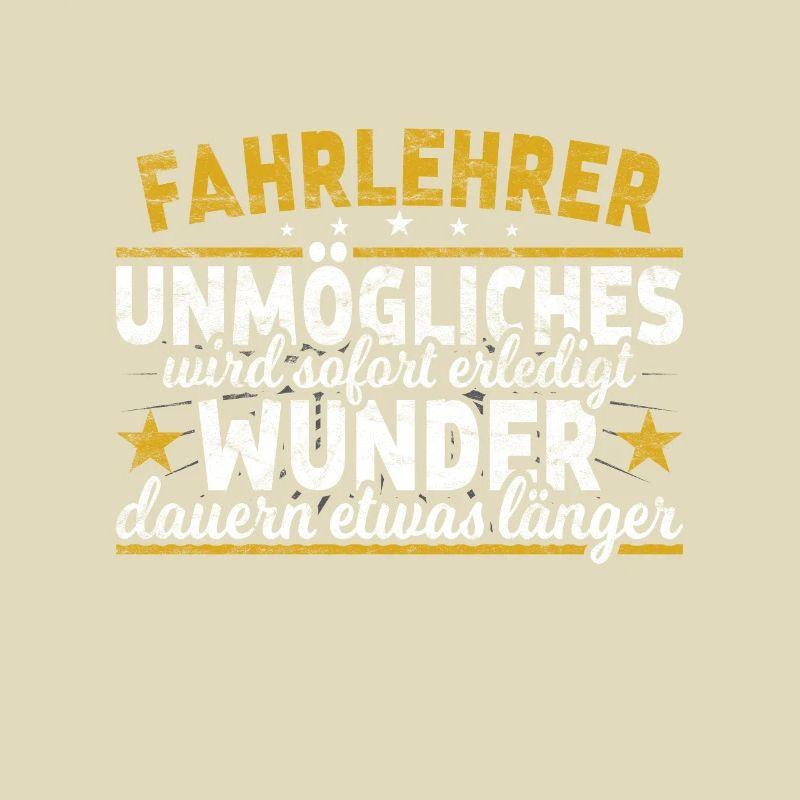 Fahrlehrer