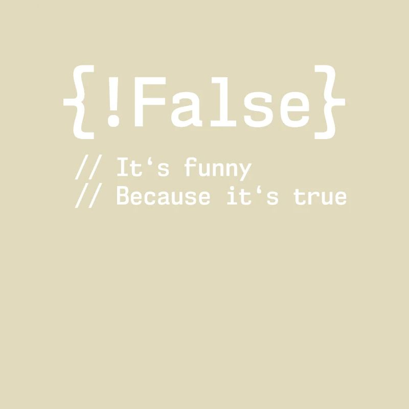 False It's Funny Because It's True Programmierer
