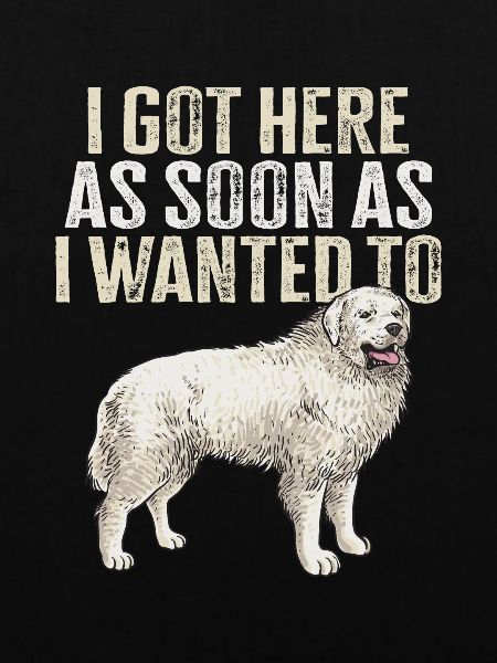 Large Pyrenean Dog