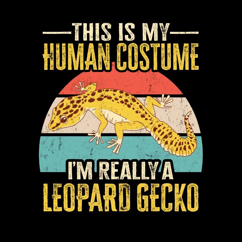 Leopard Gecko Lizard Reptiles Herpetologist