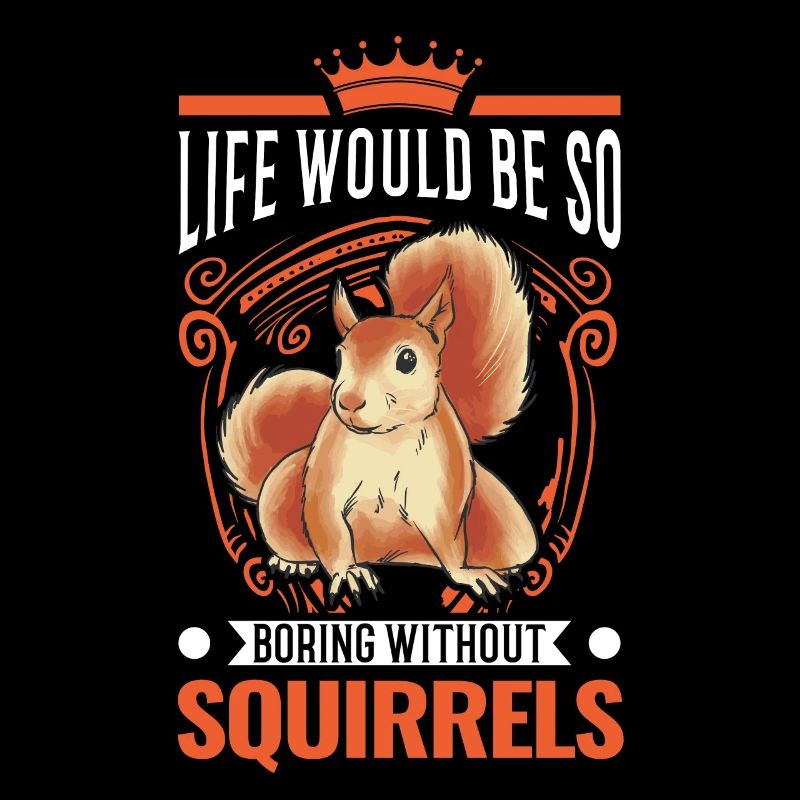 Squirrel Gift Squirrel Grey Squirrel