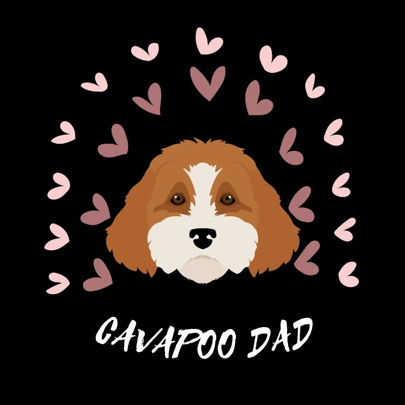 PAPA CAVAPOO. Beau chien mignon. Amoureux des chiens.