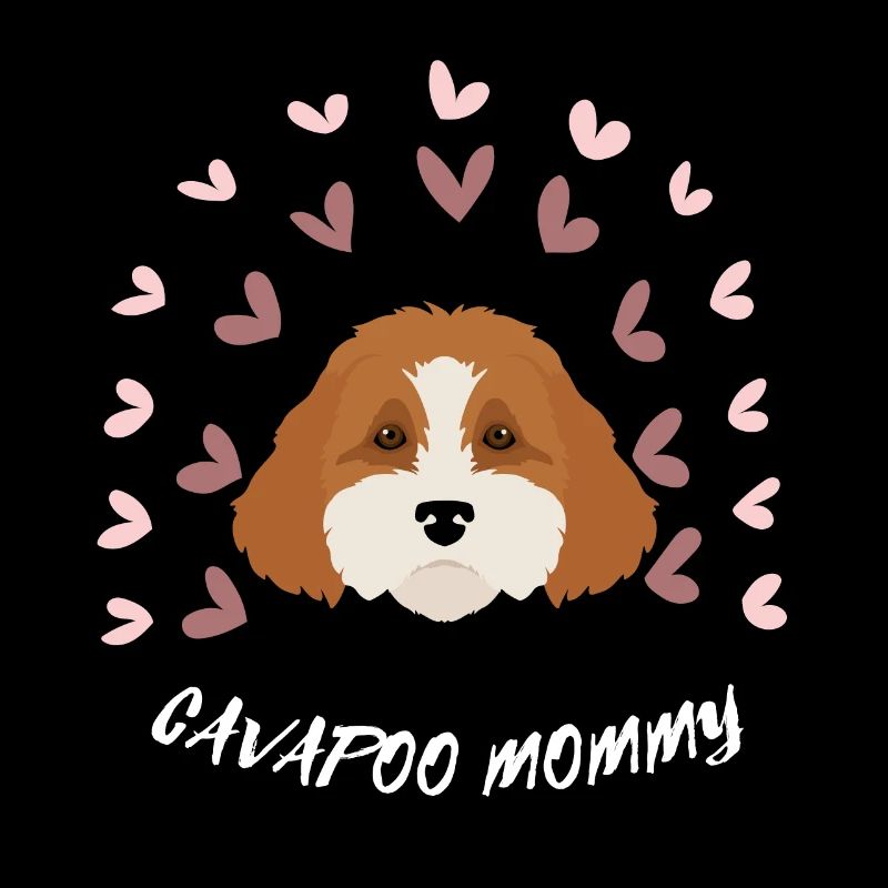 CAVAPOO MAMAN. Beau chien mignon. Amoureux des chiens.