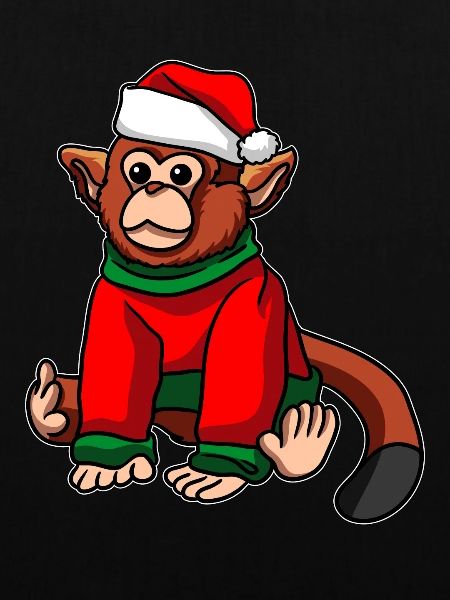 Affe mit Weihnachtsmütze Weihnachtskostüm