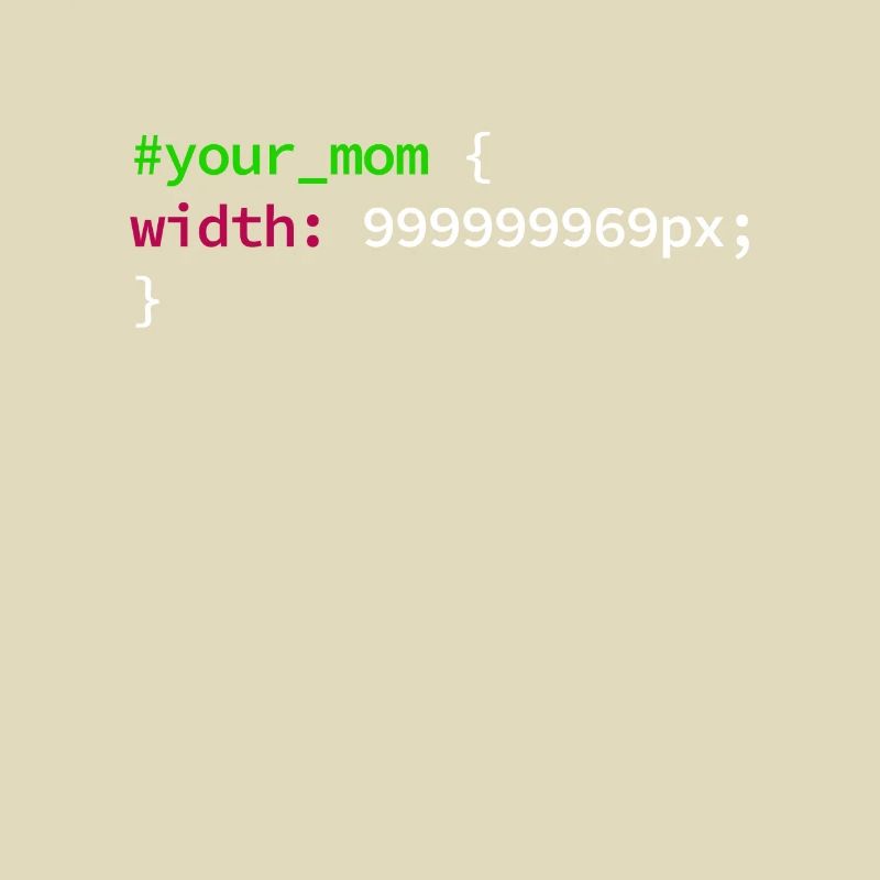 Web und CSS Programmierer Developer Coding Code
