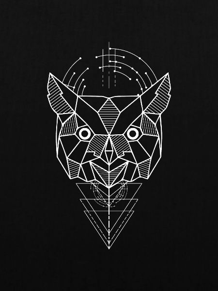 Eule Polygon