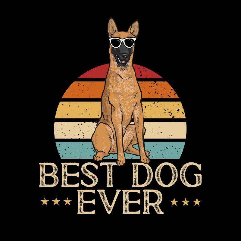 Malinois Belgian Shepherd Mechelaar Dog