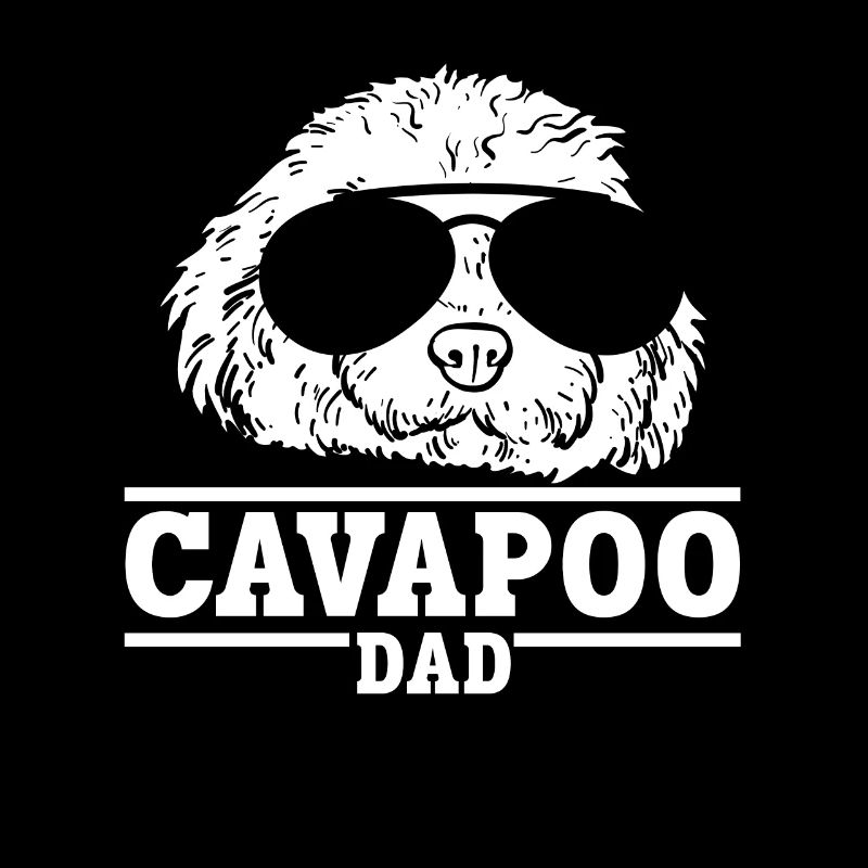 Cavapoo Cavoodle Capoodle Dog