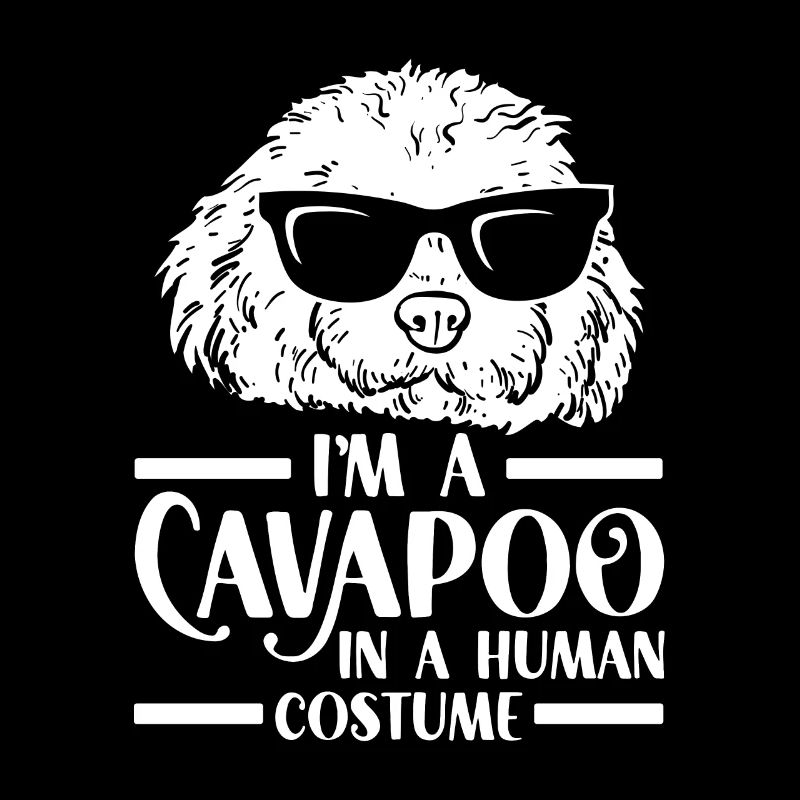 Cavapoo Cavoodle Capoodle Dog