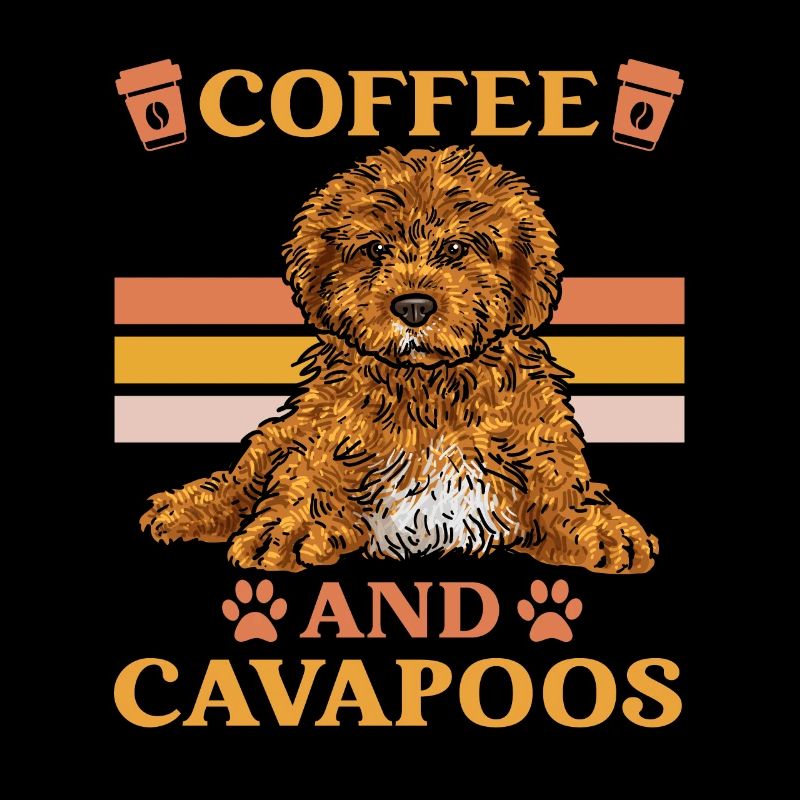 Cavapoo Cavoodle Capoodle Chien