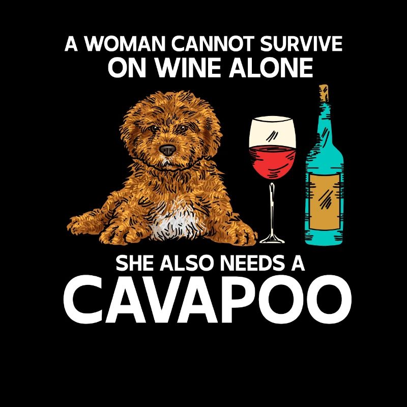 Cavapoo Cavoodle Capoodle Chien