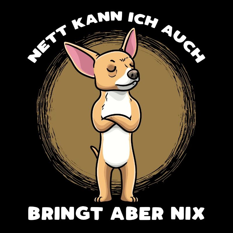Chiweenie Hund Stur
