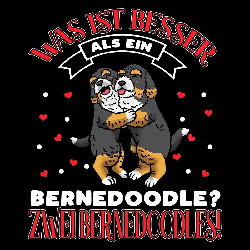 Bernedoodle Zwei Bernedoodles