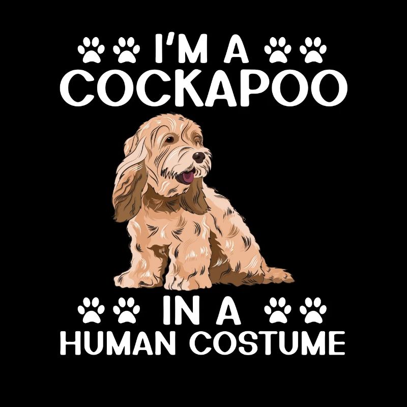 Cockapoo Chien
