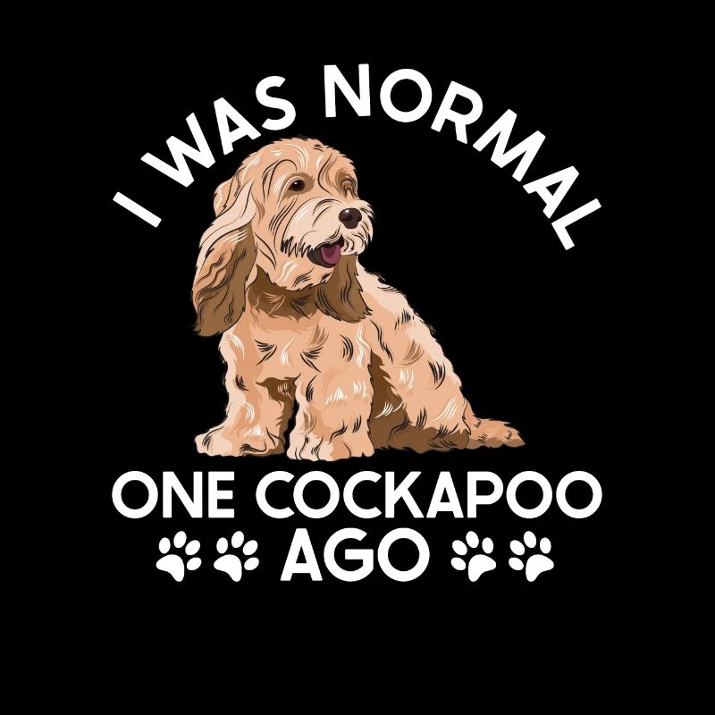 Cockapoo Chien