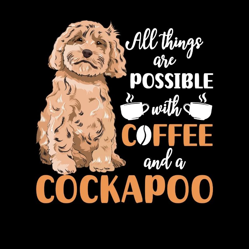 Cockapoo Hund