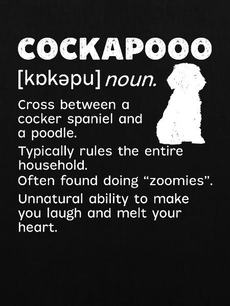 Cockapoo Hund