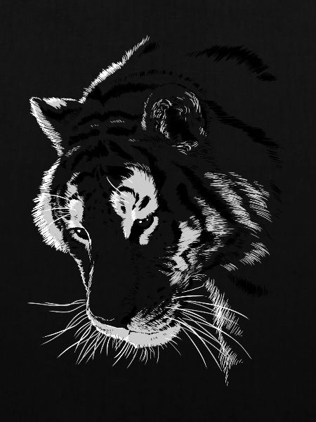 Tiger-Skizze
