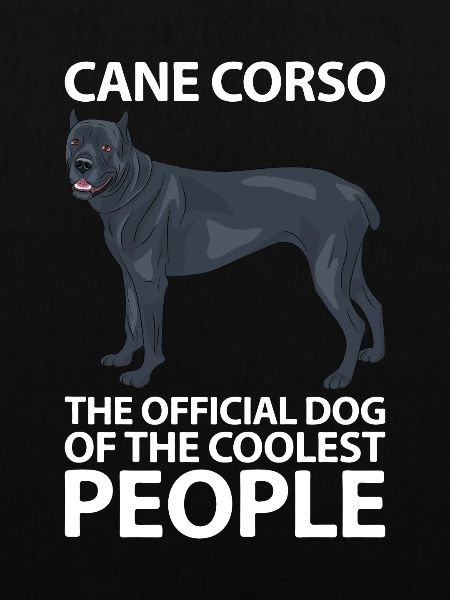 Cane Corso