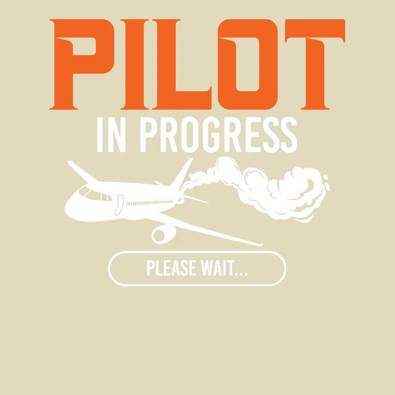 Pilot In Progress Please Wait Loading Plane