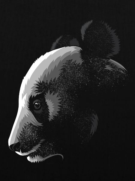 Der Panda im Schatten