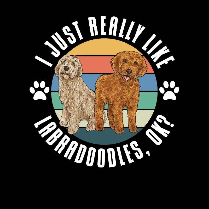 Labradoodle Hund