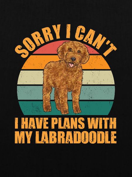 Labradoodle Hund