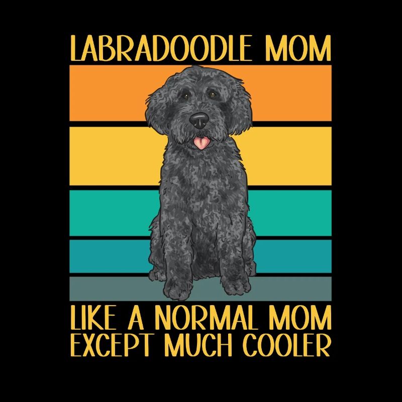 Labradoodle Hund