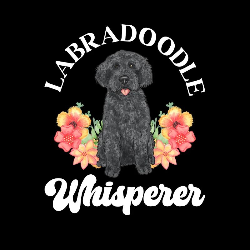 Labradoodle Hund