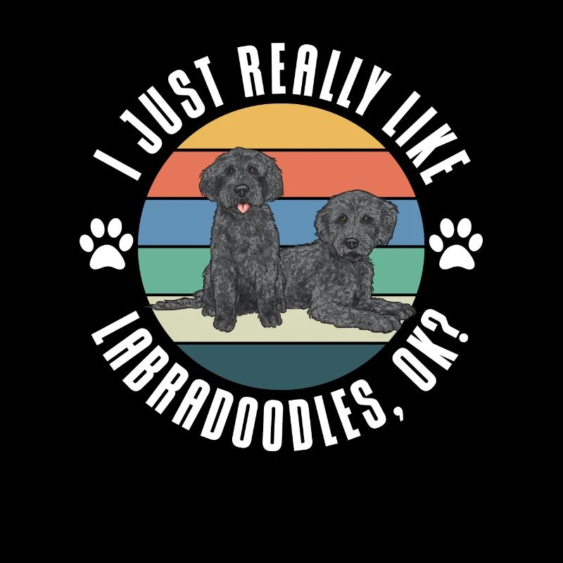 Labradoodle Hund