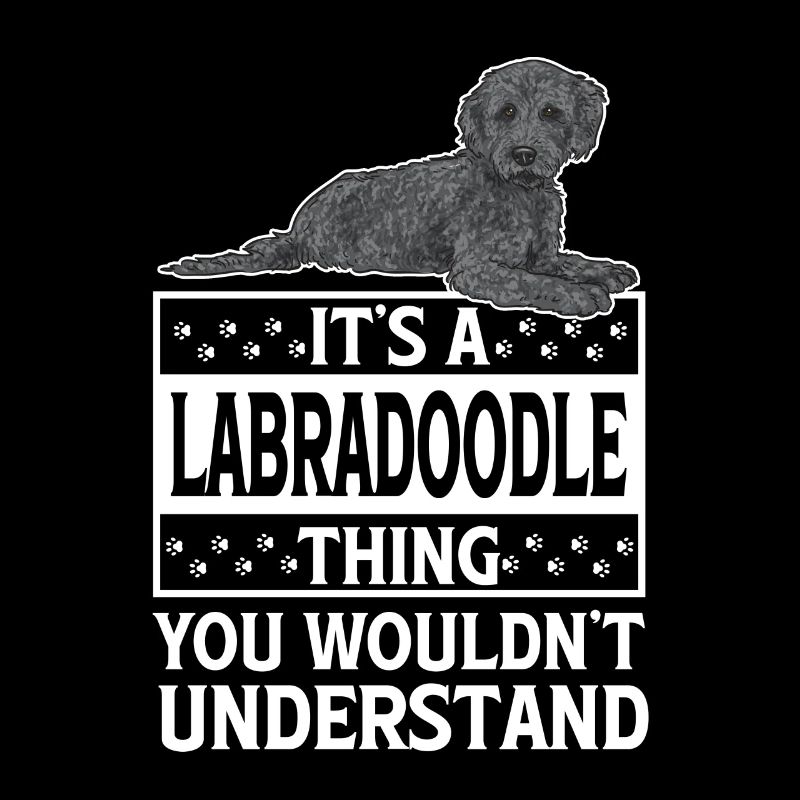 Labradoodle Hund