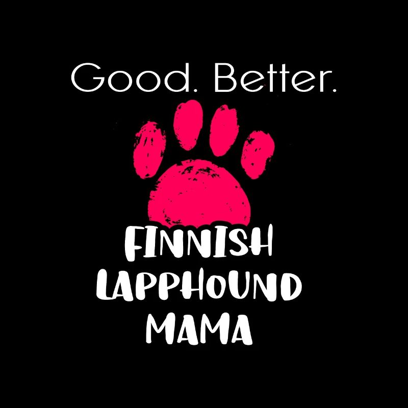 Finnischer Lapphund