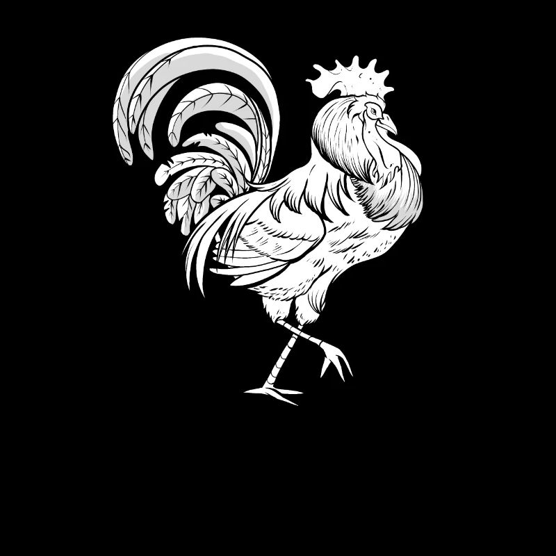 Chicken Hen Rooster