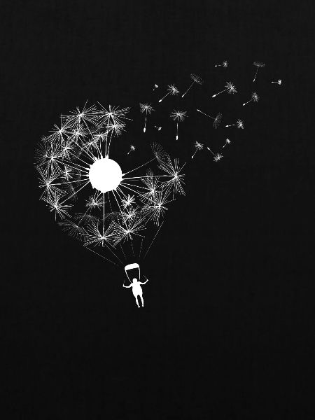 Dandelion Paragliding Skydiving Skydiver