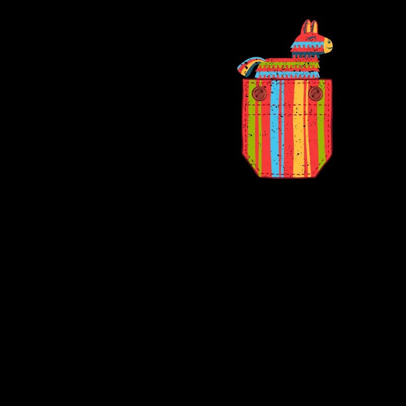 Bag Pinata Serape Cinco De Mayo Mexican