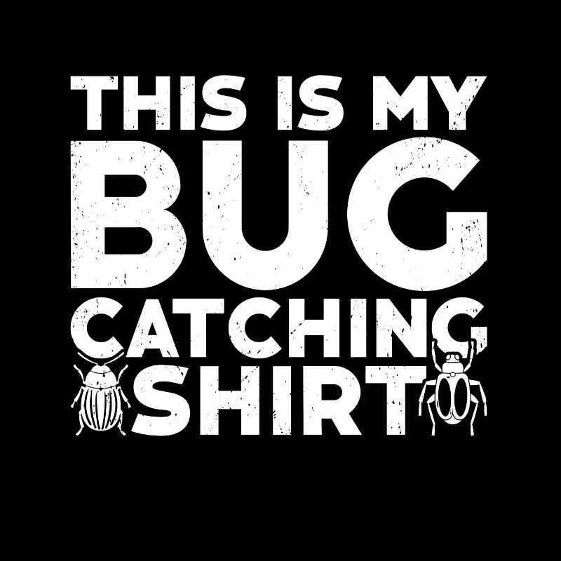 Insecte