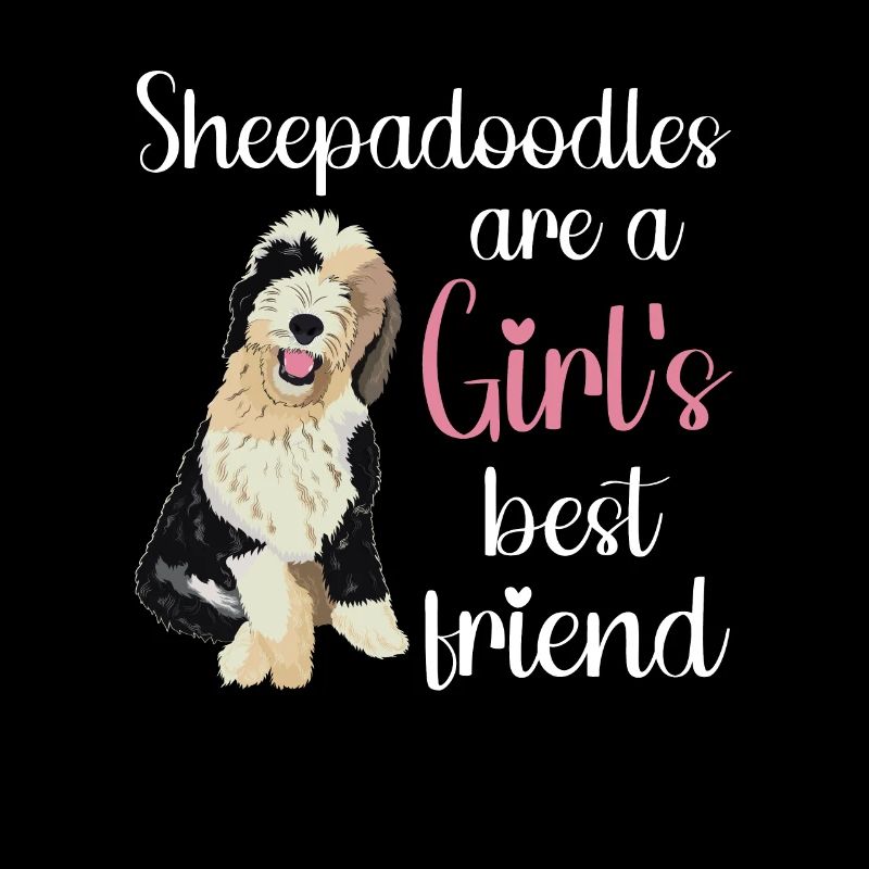 Sheepadoodle Doodle Hund