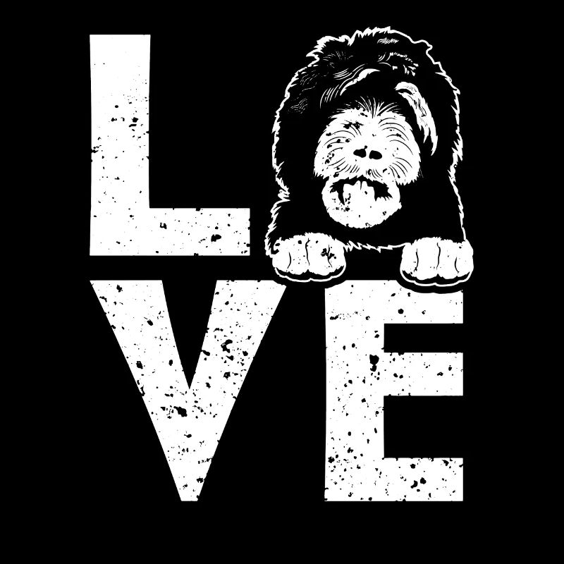 Sheepadoodle Doodle Hund